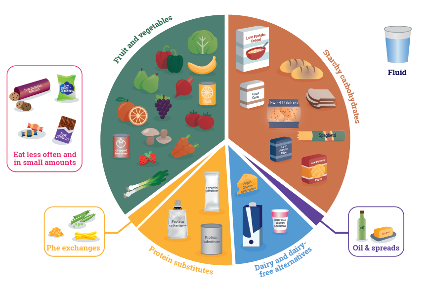 5 Main Food Groups | Fussy Eaters.png